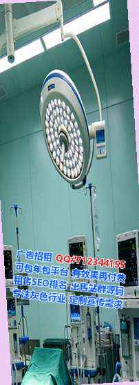 岱岳代怀软件公司